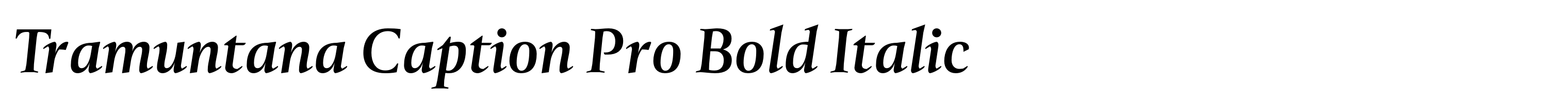 Tramuntana Caption Pro Bold Italic